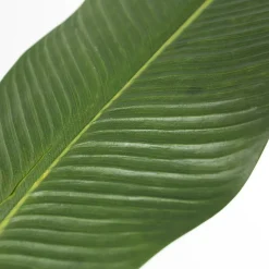 Feuille de bananier artificiel, 40,5″