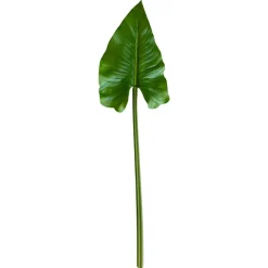 Feuille de calla sur tige 30″