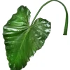 Feuille de plante taro artificielle, 43″