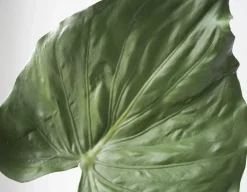 Feuille d’alocasia sur tige, 33″