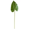 Feuille d&rsquo;anthurium sur tige 17&Prime;