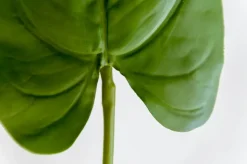 Feuille d’anthurium sur tige 17″