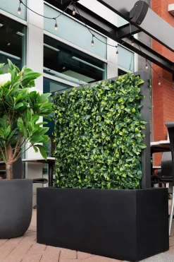 Fiber clay black flower box