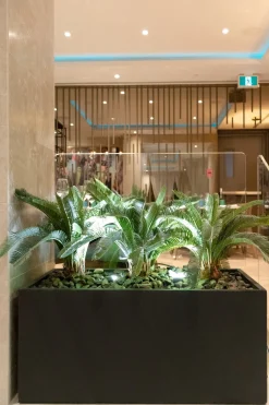 Fiber clay black flower box