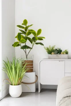 Ficus altissima artificiel, 51″