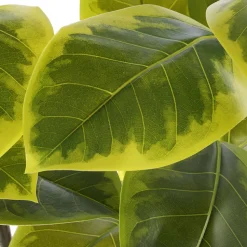 Ficus altissima artificiel, 51″