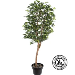 Ficus tree with fire-retardant foliage