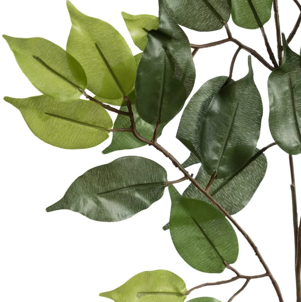 Ficus tree with fire-retardant foliage