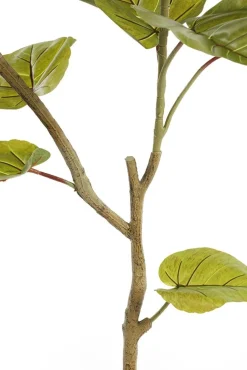 Ficus umbelleta artificiel, 36″