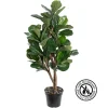 Fiddle-leaf fig tree with fire-retardant foliage