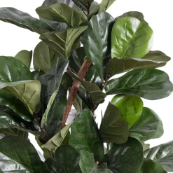 Fiddle-leaf fig tree with fire-retardant foliage