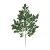 Fire-retardant ficus nitida foliage, 24"