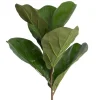 Fire-retardant fiddle-leaf fig stem, 19,5"