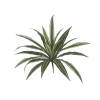 Fire-retardant green and cream dracaena, 16"