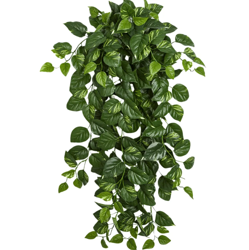 Fire-retardant green and cream trailing pothos, 50"