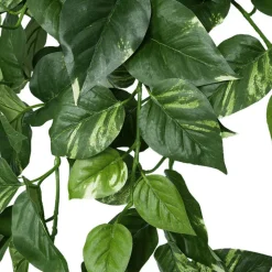 Fire-retardant green and cream trailing pothos, 50"