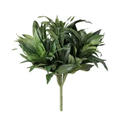 Fire-retardant green dracaena fragrans, 13"