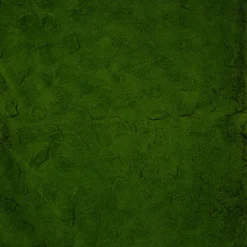 Fire-retardant green moss carpet, 79 x 39,5"