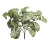 Fire-retardant green syngonium, 16"