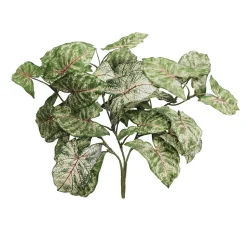Fire-retardant green syngonium, 16"