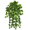 Fire-retardant hanging variegated pothos, 41"