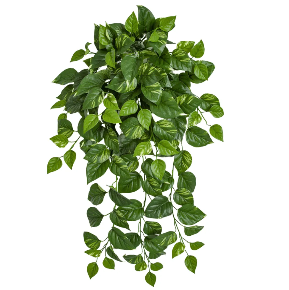 Fire-retardant hanging variegated pothos, 41"