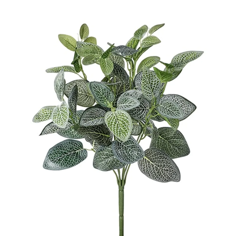 Fittonia artificiel extérieur, 17″