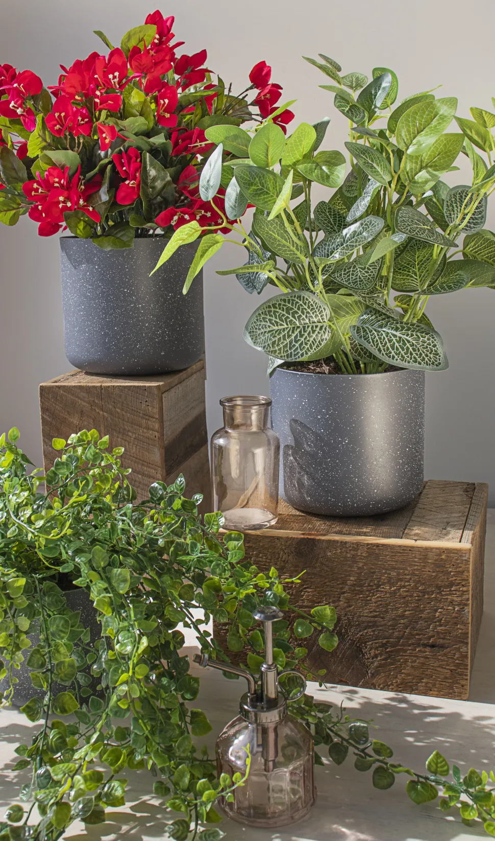 Fittonia artificiel extérieur, 17″