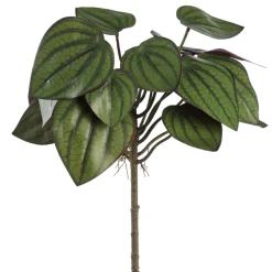 Fittonia vert et bourgogne artificiel, 14″