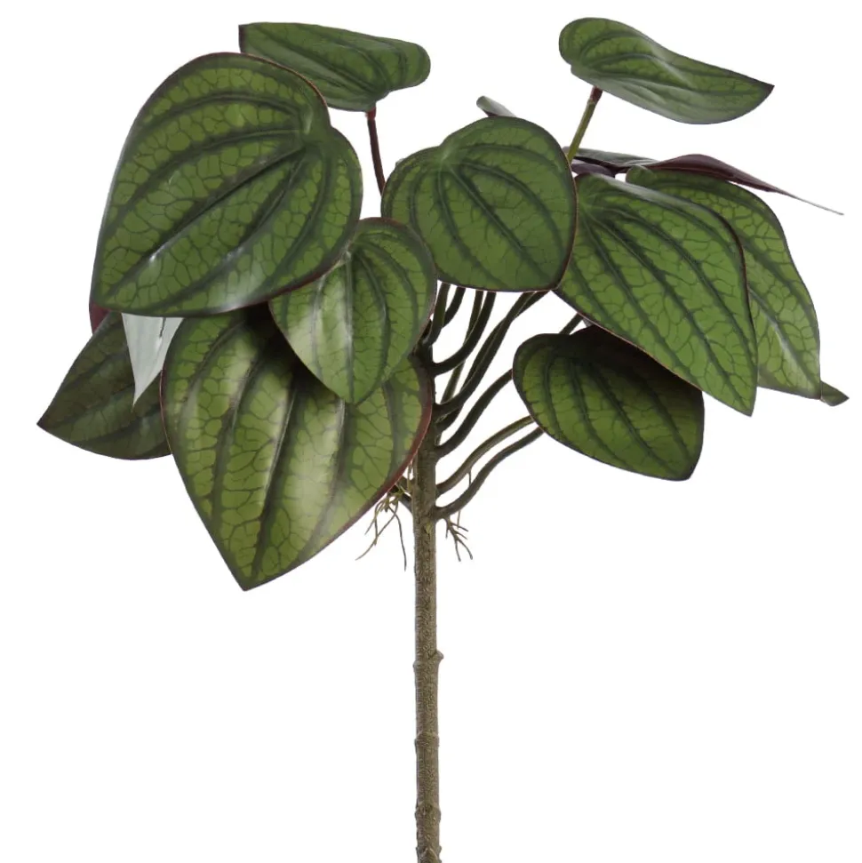 Fittonia vert et bourgogne artificiel, 14″