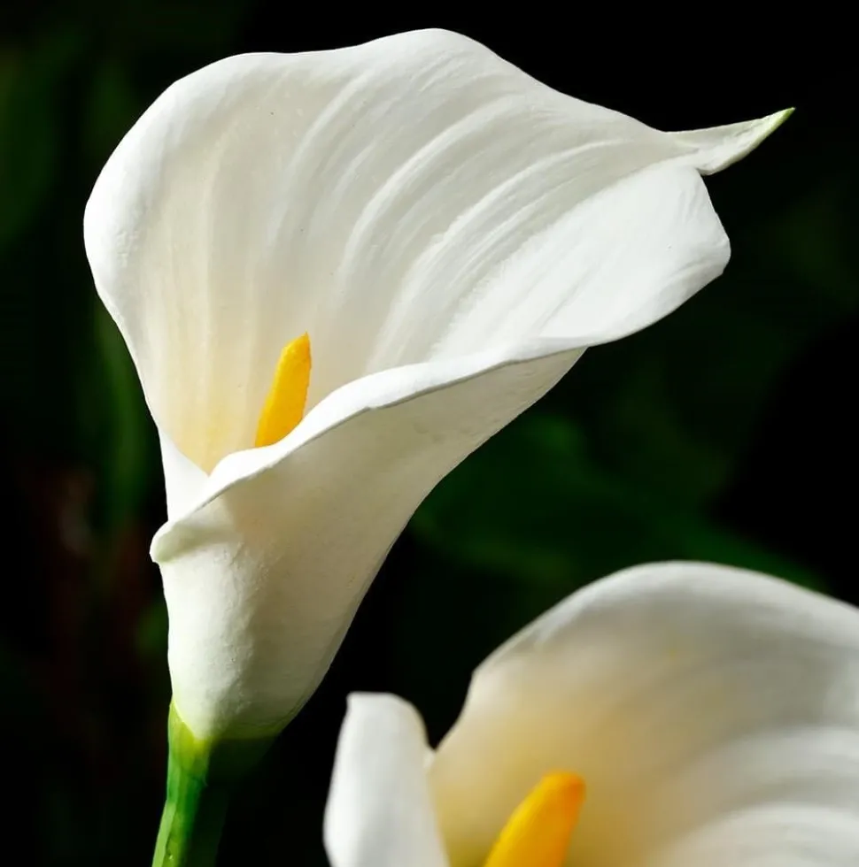 Fleur artificielle de lys calla géant blanc, 33″