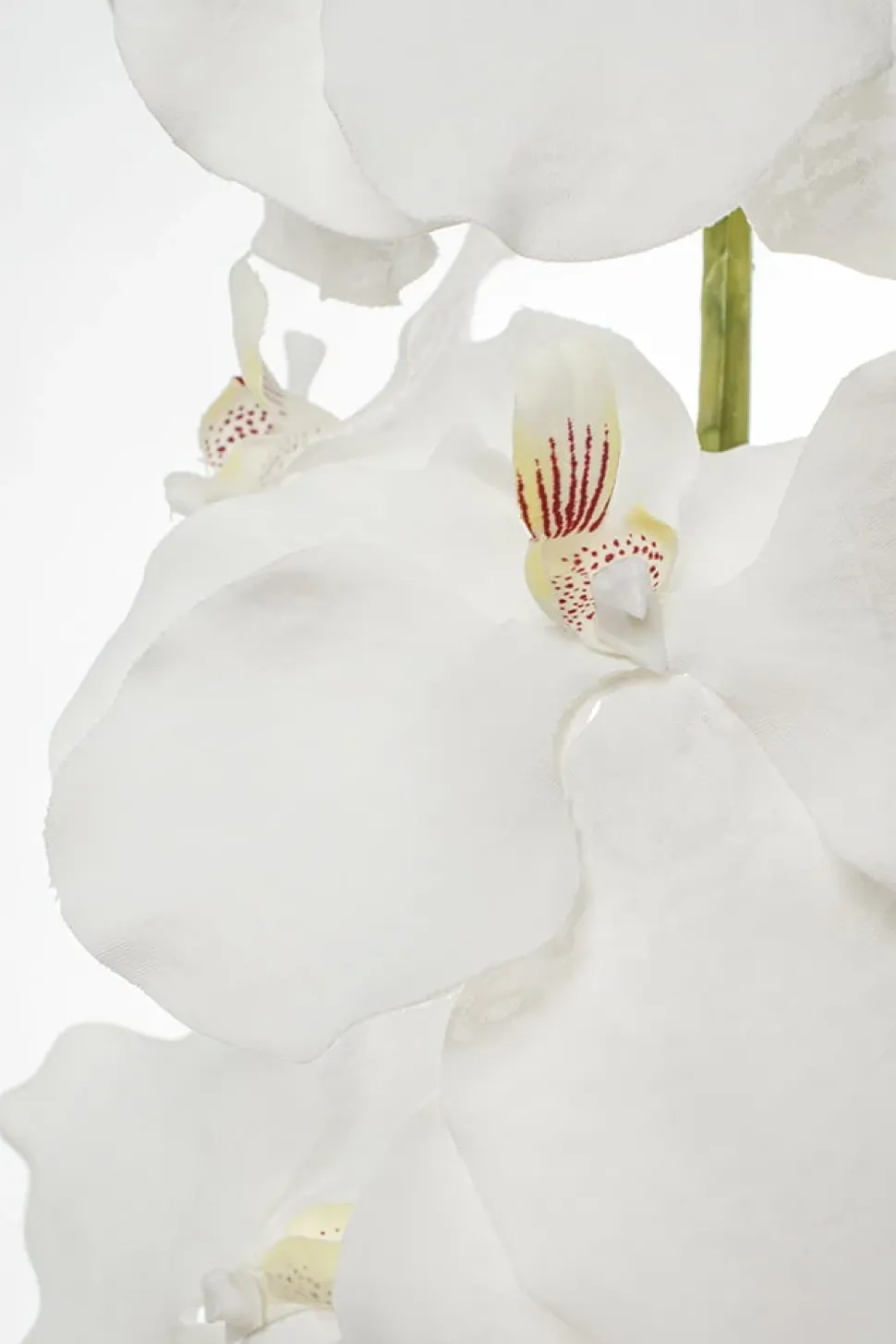 Fleur artificielle, orchidée vanda blanche, 32″