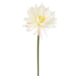 Fleur de nuit blanche, 32″