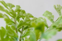 Fougère artificielle ajourée, 17″