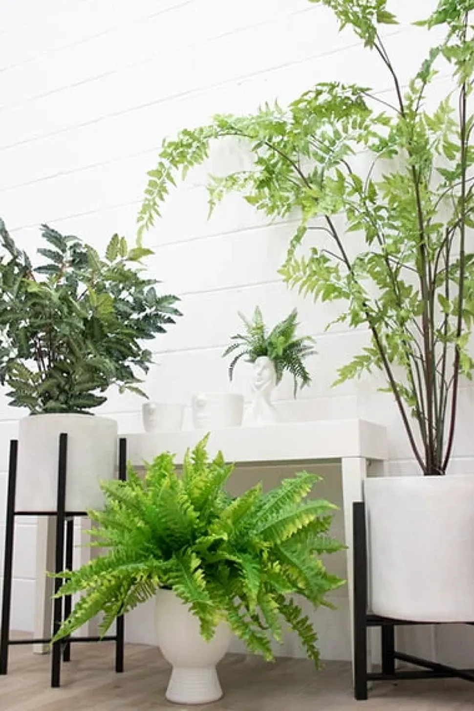 Fougère boston artificielle, 23″