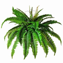 Fougère boston vert foncé artificielle, 34″