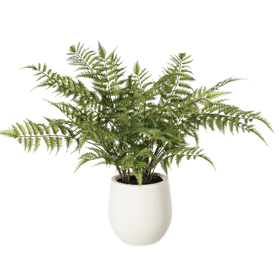 Fougère en pot de béton blanc