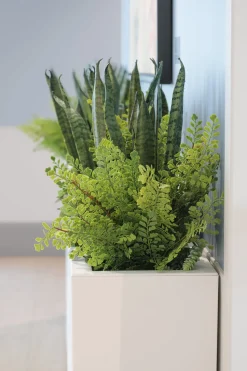 Fougère maidenhair artificielle traitée anti-UV, 15″