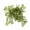 Fougère maidenhair, 17″