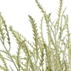 Fougère staghorn artificielle, 22″