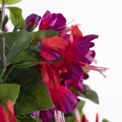 Fuchsia outdoor hanging flower basket, 24 x 22″