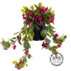 Fuchsias en pot de culture noir, 22 x 12″