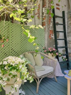 Géranium blanc en pot de culture noir, 28 x 20″