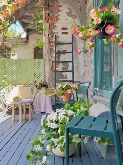 Géranium blanc en pot de culture noir, 28 x 20″