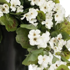 Géranium blanc en pot de culture noir, 28 x 20″