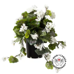 Géranium blanc en pot de culture noir, 22 x 12″