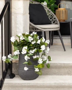 Géranium blanc en pot de culture noir, 22 x 12″