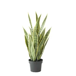 Green and yellow artificial sansevieria, 24″