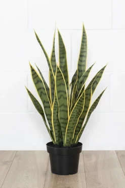 Green and yellow artificial sansevieria, 24″