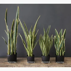 Green and yellow artificial sansevieria, 24″